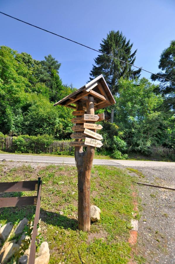 Ubytovani U Krakonose Villa Lampertice Kültér fotó